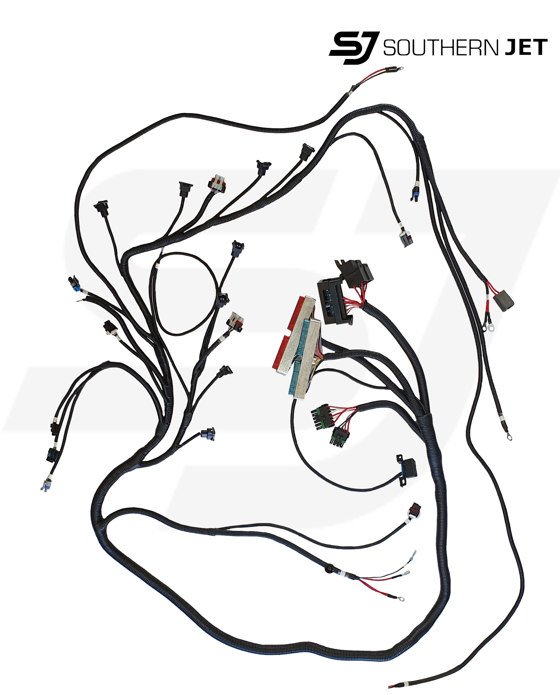 LS1 WIRING HARNESS/ECU