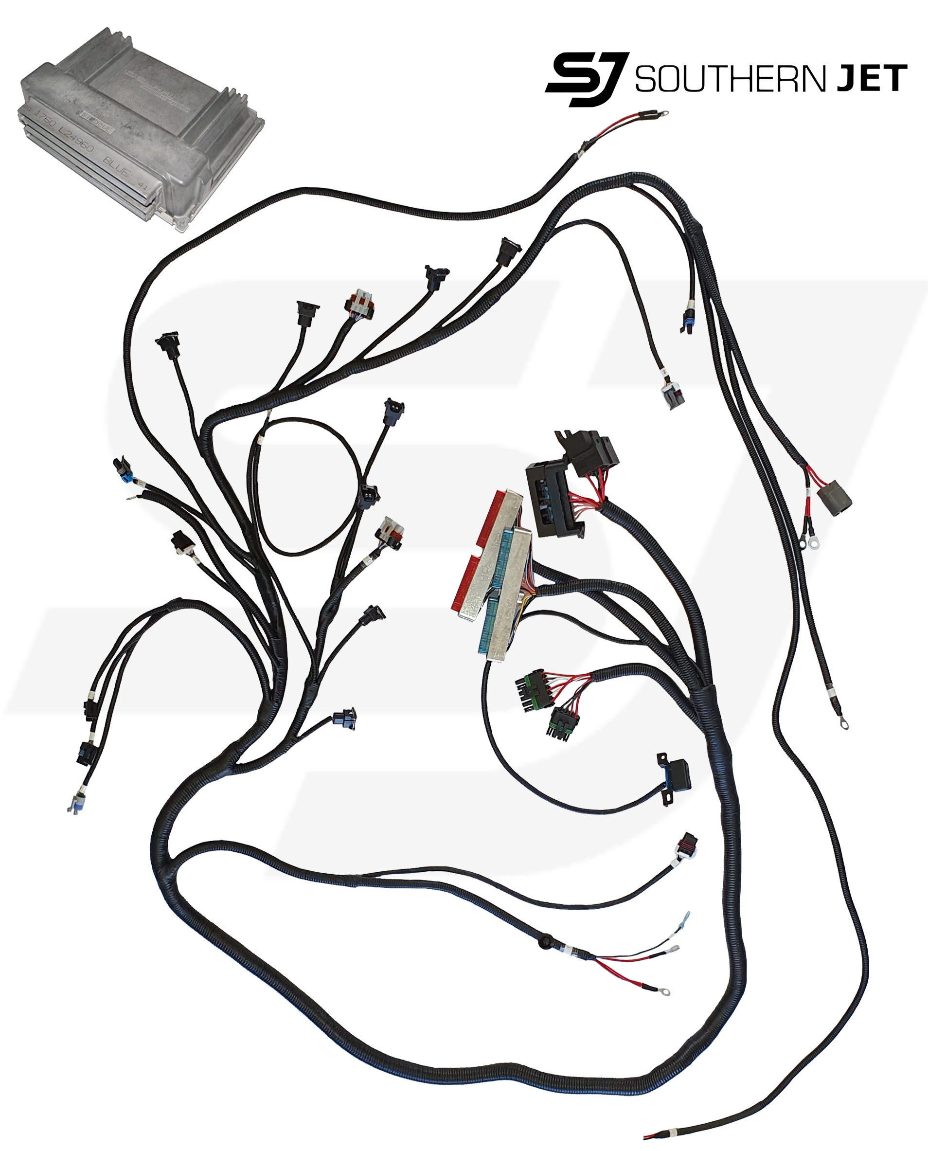 LS1 WIRING HARNESS/ECU